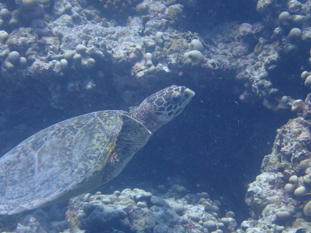 0d25dc22-eb09-460d-937f-0a5f4f71f8e8