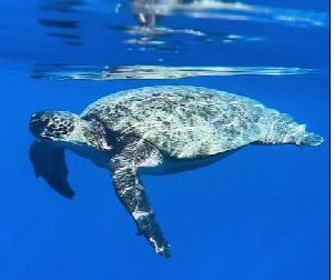 7fe06a83-3c15-4fbd-a15a-7646bfd6006c