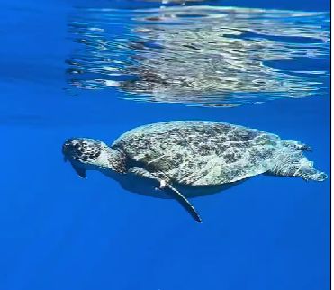 7fe06a83-3c15-4fbd-a15a-7646bfd6006c