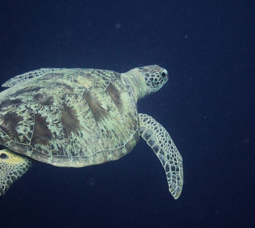 9e71f4d5-5933-440c-a2f1-5375f0e77789