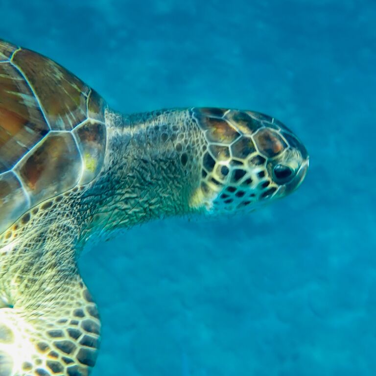 3f548098-e0a2-4202-8d5d-59ef4c4d2839