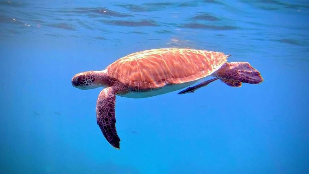 caddf327-05b3-4145-90bb-2e733089986f