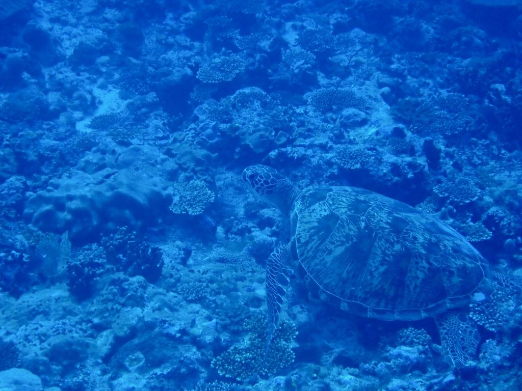 753ae98d-0e82-431e-8889-35deff516b2c