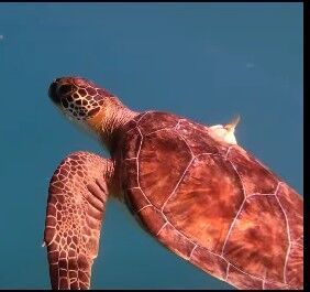 ec4ddaf4-5296-4644-93a9-b6499c55904a