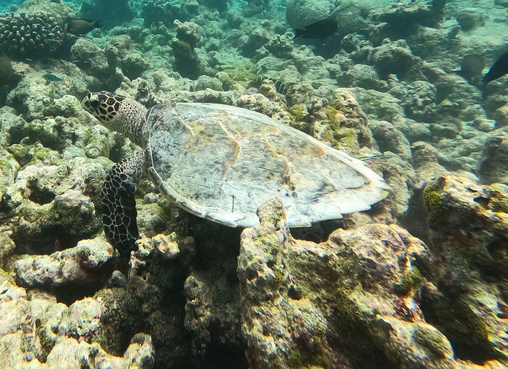 f3a0f362-632d-409c-ba17-1ab0d2547e90