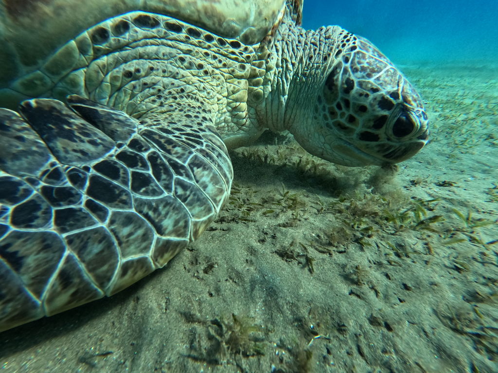 8cd8caac-5b0e-4235-8d3b-9f4753fd7baf