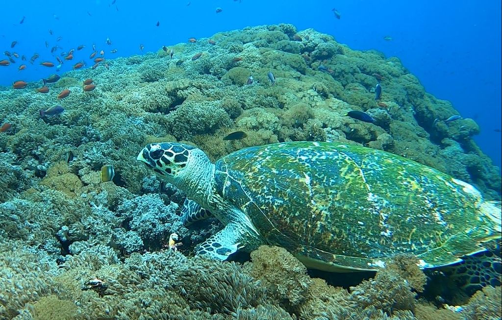 6969c750-1691-49bb-a5e6-f9c55309f845