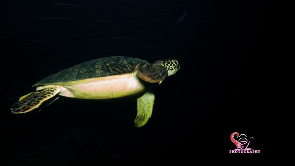 4cd0b2ea-f202-41a8-baa8-fec97f99e02b