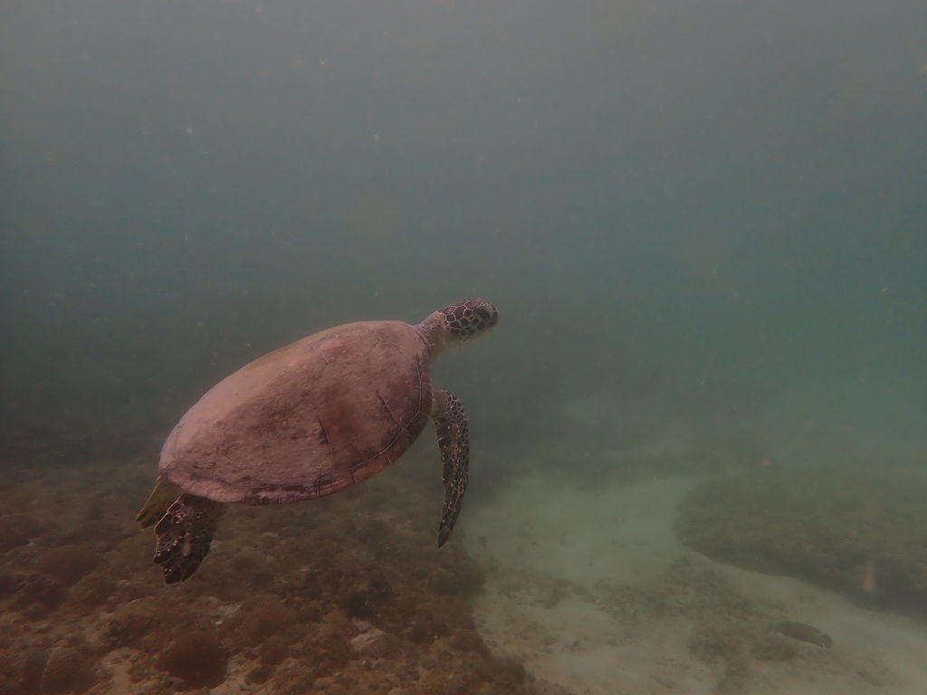 60ea336e-9341-4ca8-82fc-9e0ce85fa593