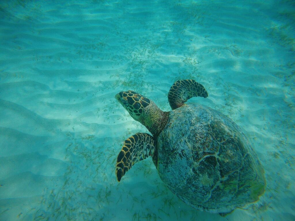 0d25dc22-eb09-460d-937f-0a5f4f71f8e8