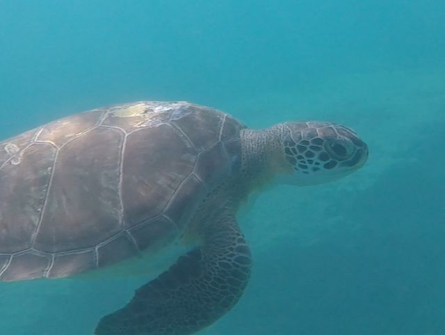 0e958220-5ca6-4bd1-9f61-fdfd2bf6c1c2