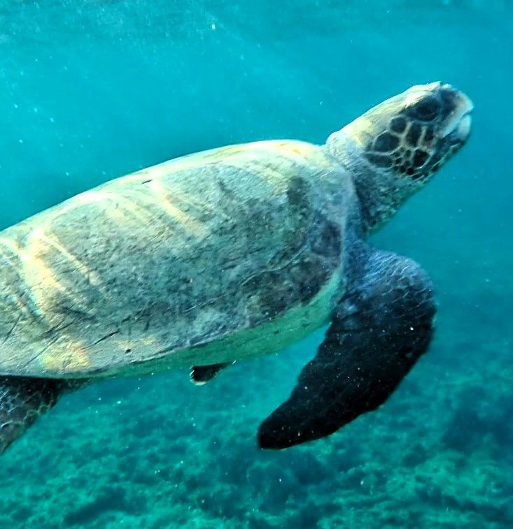 ed73800a-8e90-4f79-b1f3-72137d6bb2a2