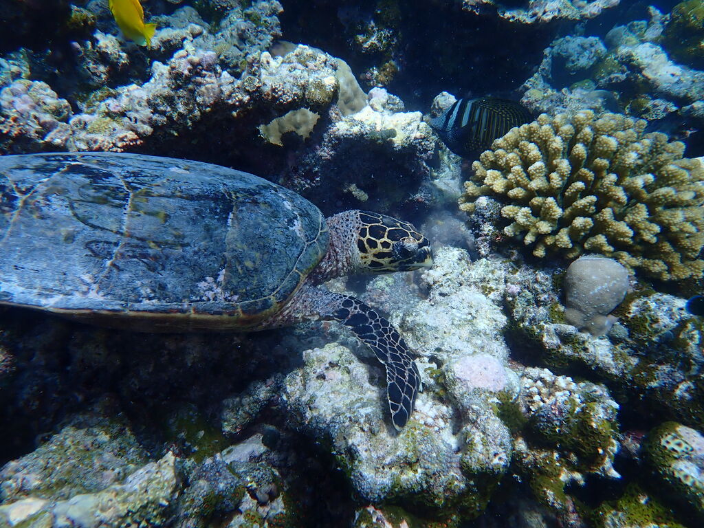 05761fed-f262-42b4-882c-02be754c9d0e