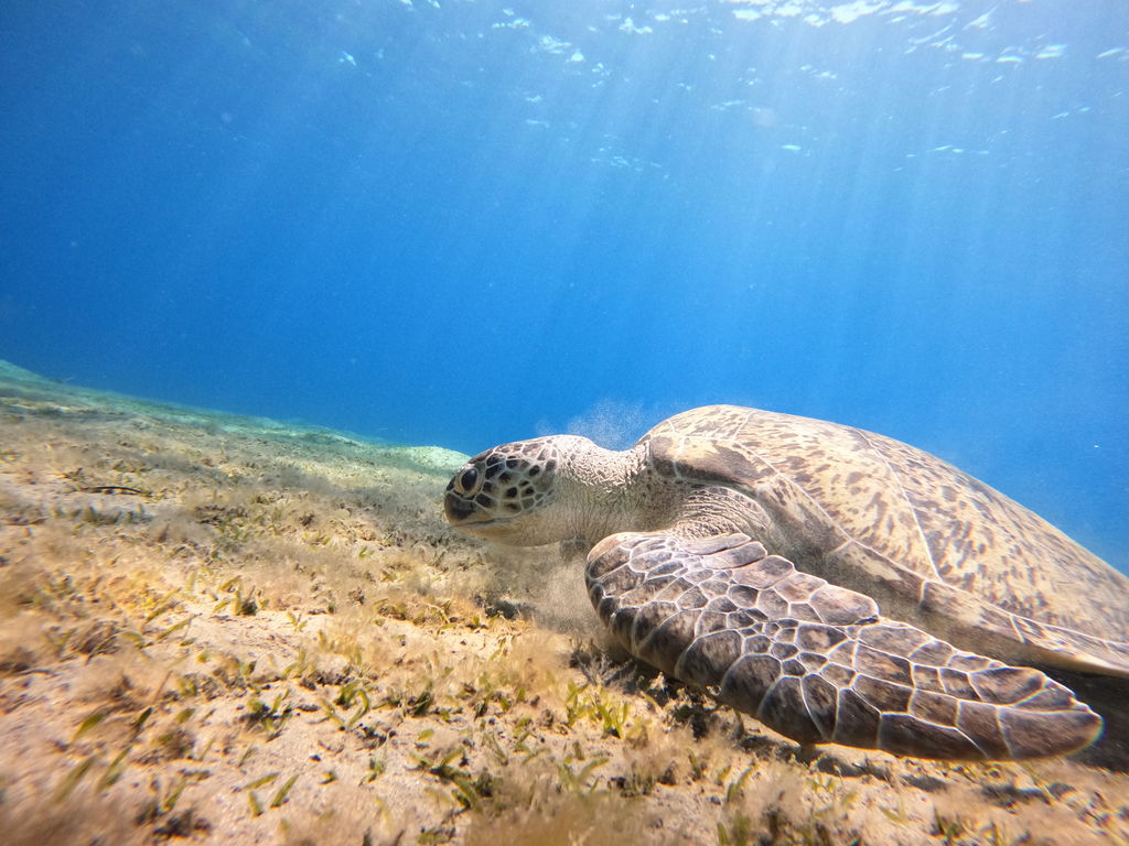 2afa4537-e177-4e31-a5a3-6daf523182a0