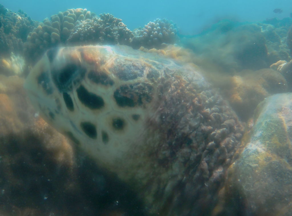 2e25001f-4b15-44b7-bdd9-992f20b87ff5