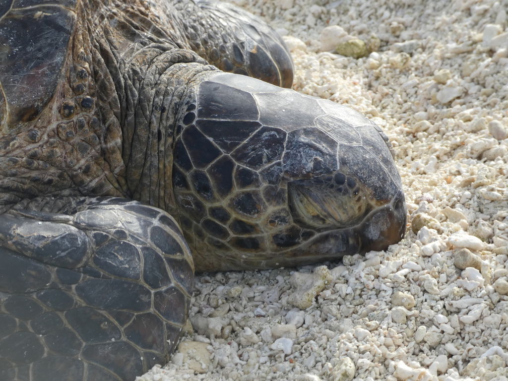 c1e47e28-1e53-484d-96a6-ebe67bd53cb8