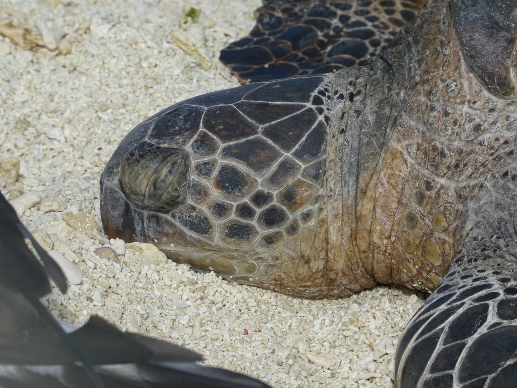 c1e47e28-1e53-484d-96a6-ebe67bd53cb8