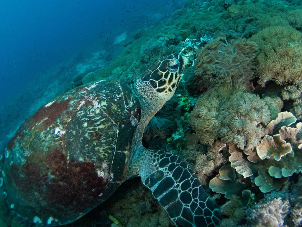 57eacf01-8975-4076-9cf9-19aa697443ea