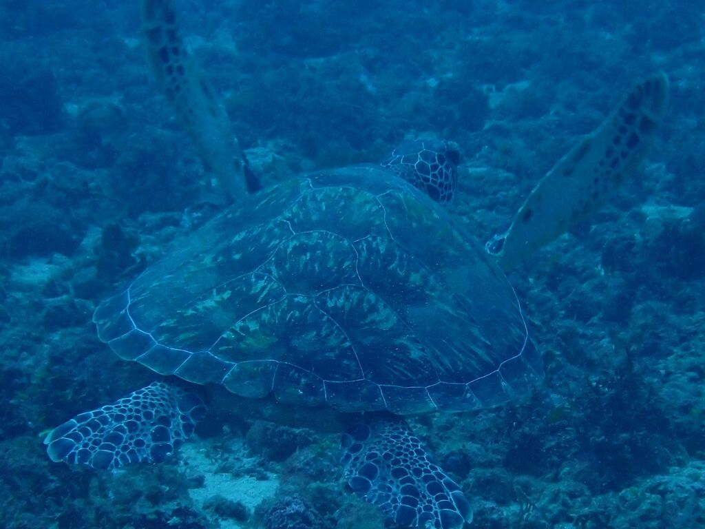 56cd0043-3c77-4f71-987d-6dd2dddc98f2