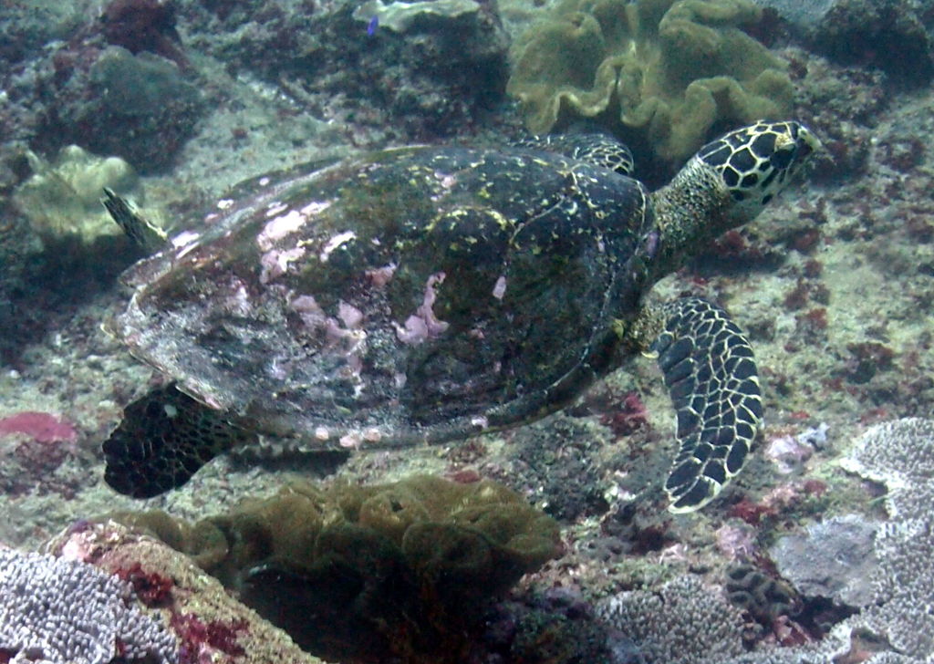 3bcc39b0-fcb2-4ab0-8537-6951963ebced