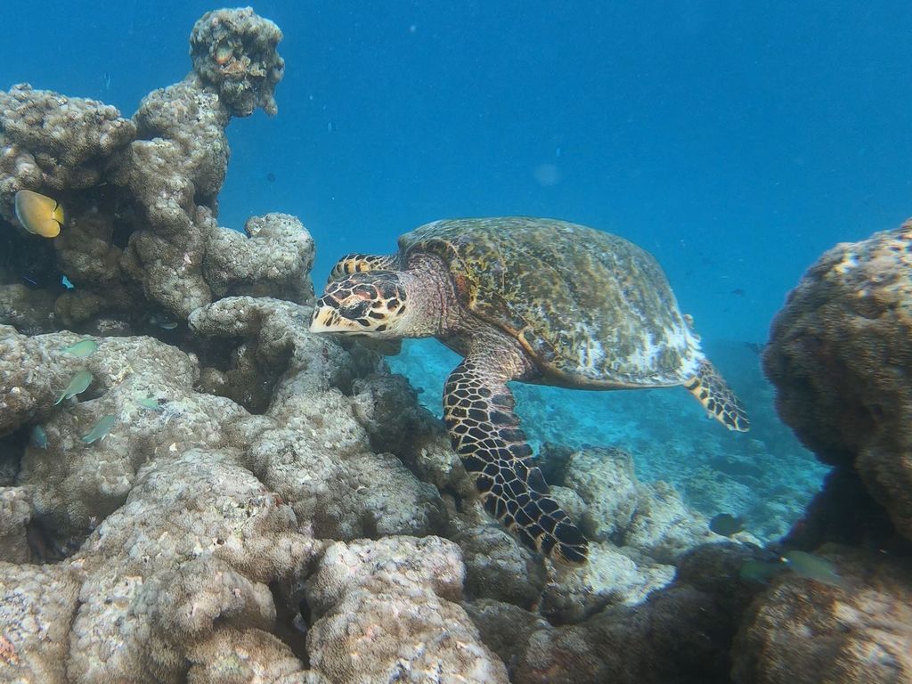 6242188e-4c7a-43e1-96e0-7df118f86a3a