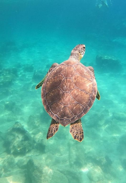 036cfe70-bcbb-4ae1-81eb-e0d5f6575de9