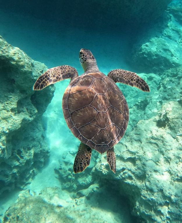 036cfe70-bcbb-4ae1-81eb-e0d5f6575de9