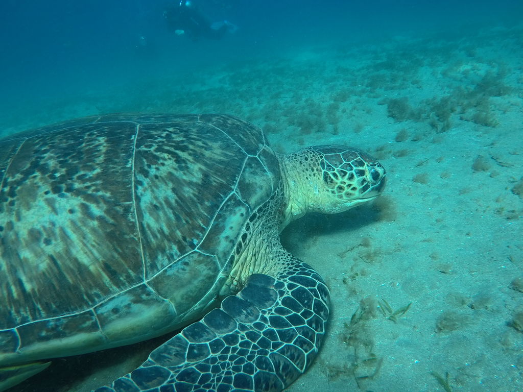 be467fe5-ea19-4c08-8c8a-5ef47dbc5df0