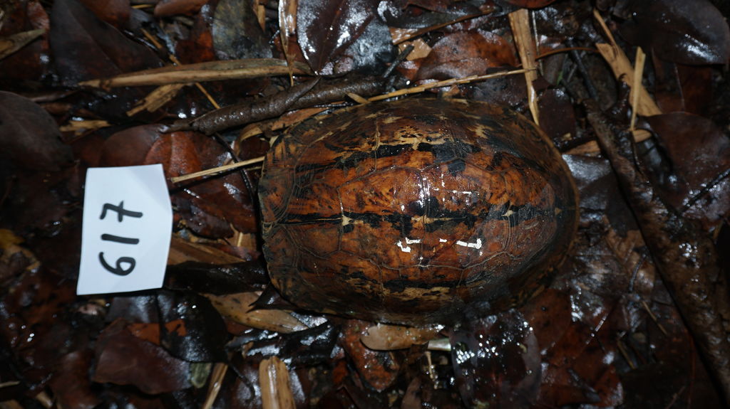 05afde1a-d338-45d6-96e5-3f9b413bef80