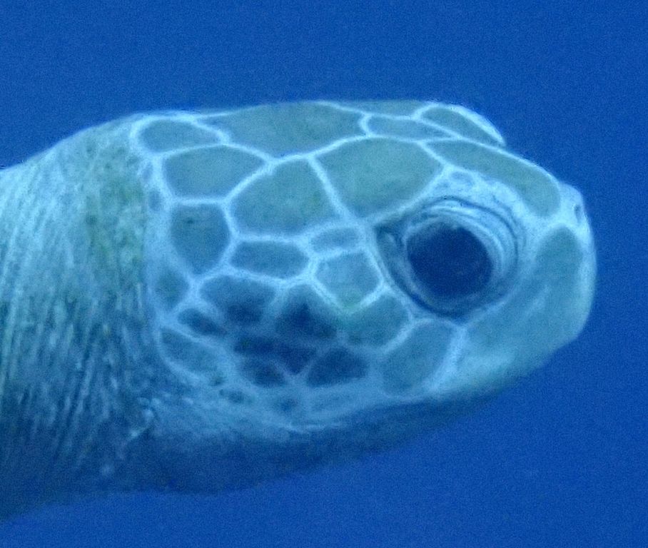 9e71f4d5-5933-440c-a2f1-5375f0e77789