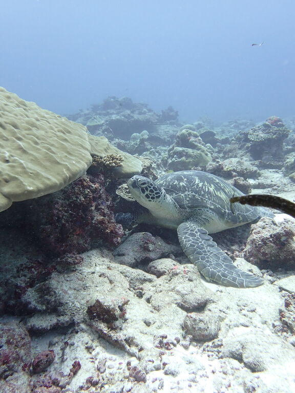 d72c4aaf-a2bf-450c-9372-802f49f7c130