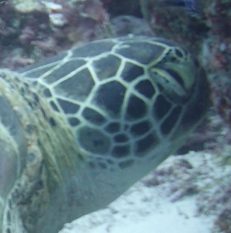 75742e25-b063-414c-b877-cd0b82383232