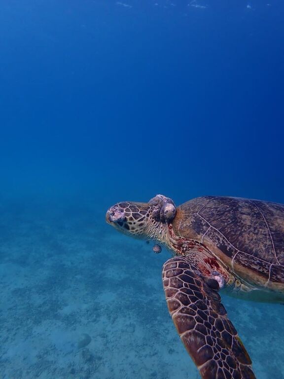 a28a99ef-0782-404e-b16f-fb1e5bb4f59e