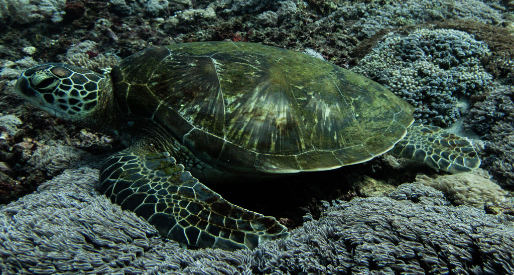 0ffc531d-9ea9-40b3-9d31-a59c315b1c74