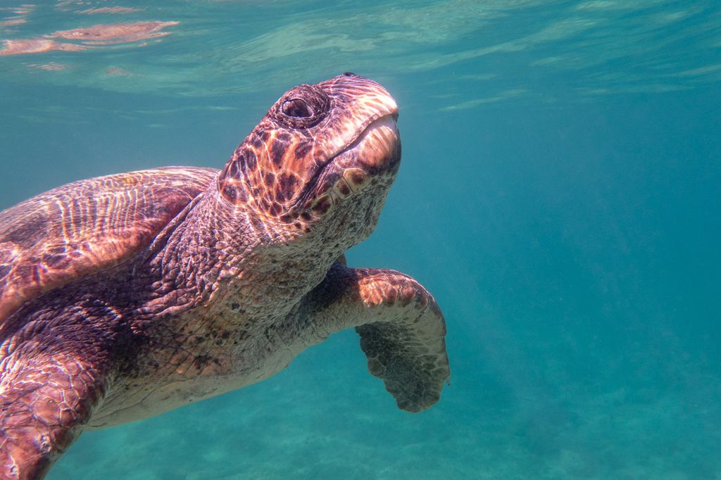 fd650082-31c6-4c4a-885e-f87e86795ade