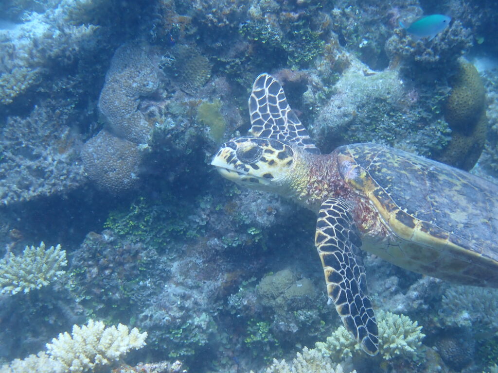 11bdd359-c0a6-4ca4-8f73-a8f4c2946d57