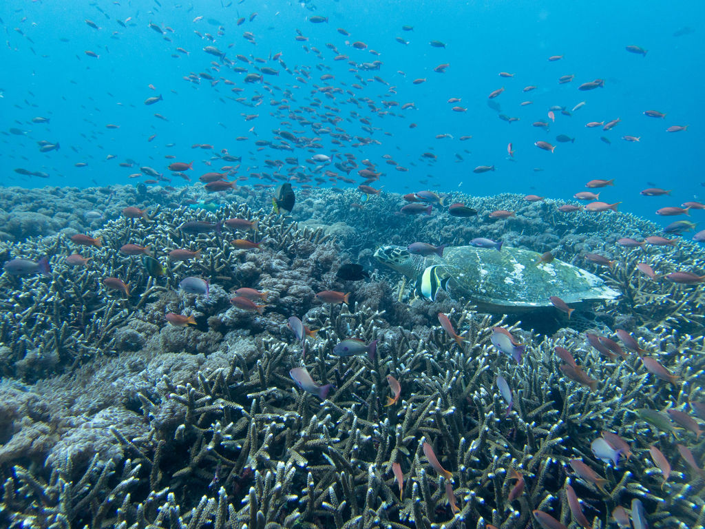 6969c750-1691-49bb-a5e6-f9c55309f845