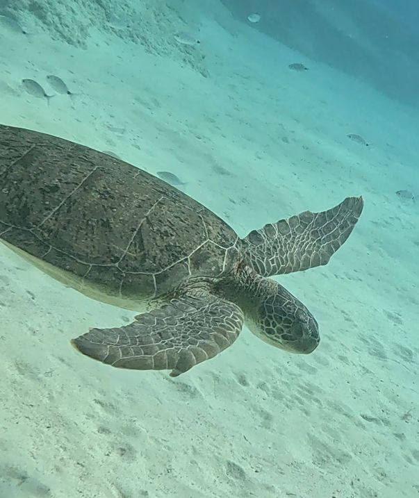 430d99f8-6401-4ee4-bdfb-b121fb98a742