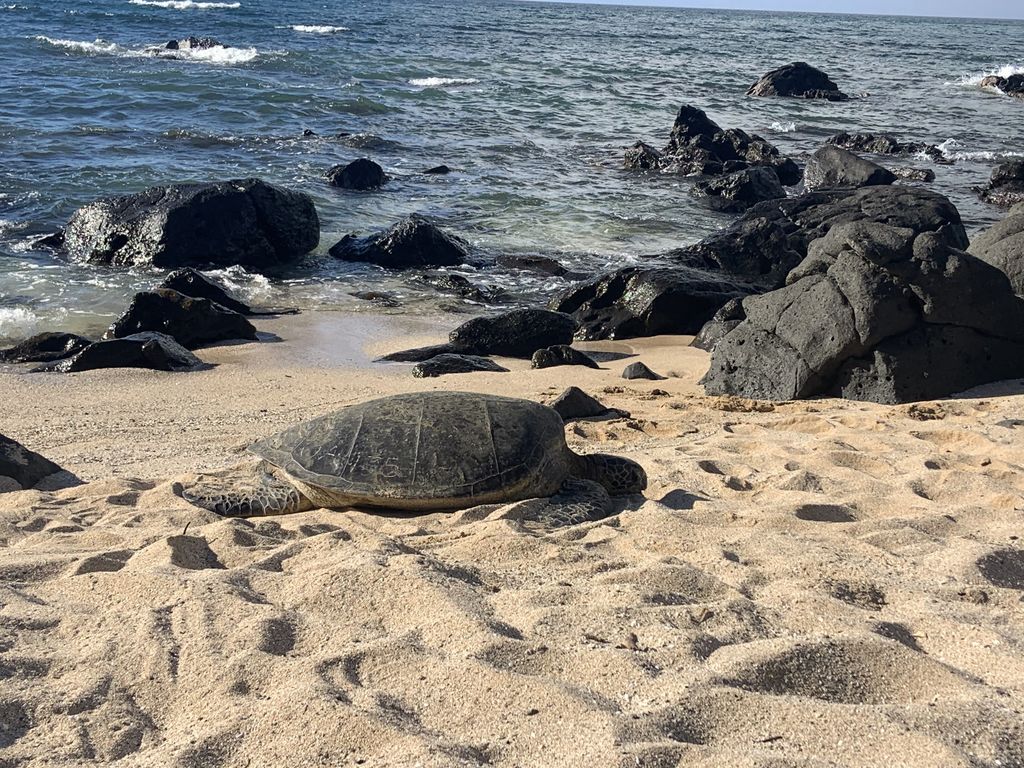 e0dcf2e7-5bd6-488a-9d6b-8feb9e55377d