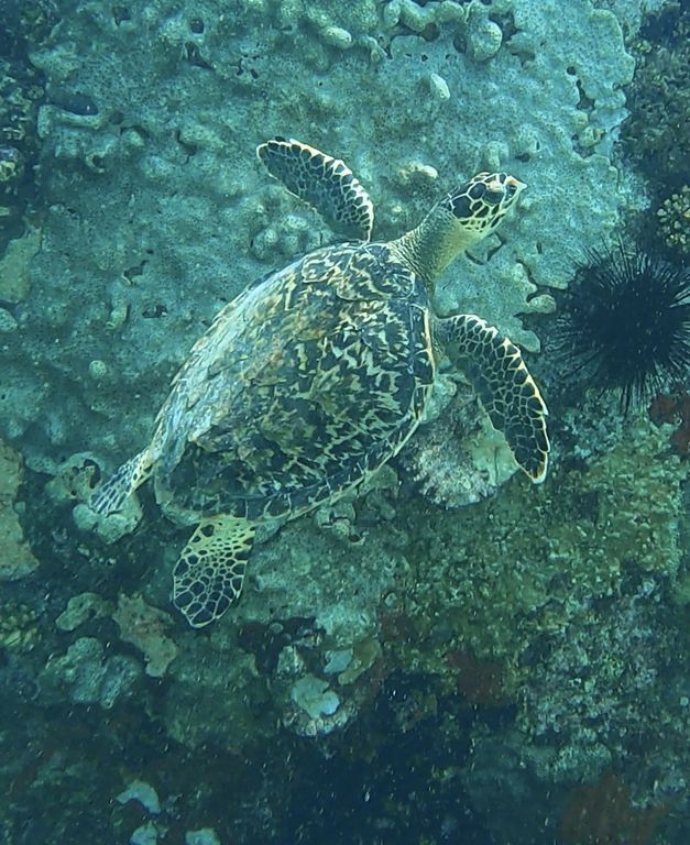 3f35bc78-d10f-4930-9ed9-0f9864ba75a3