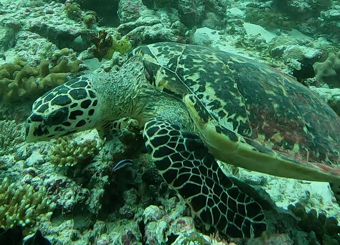 efc20d4c-cf7e-4238-8304-e34404094ede