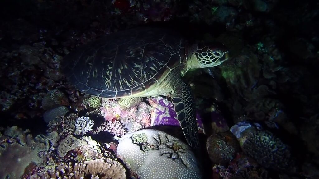 4cd0b2ea-f202-41a8-baa8-fec97f99e02b