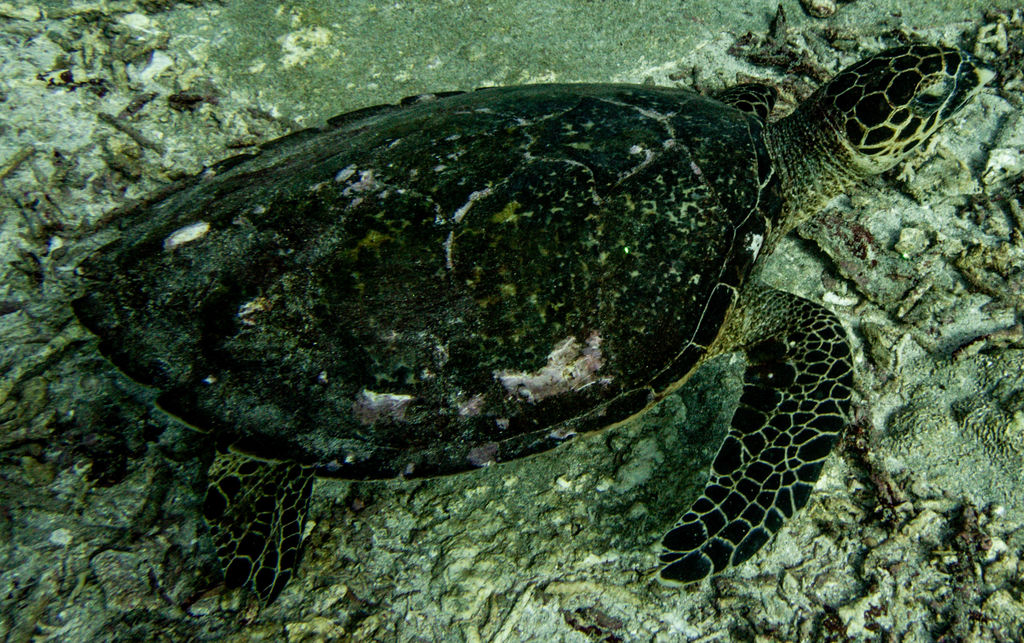 f8faac04-a14e-45d7-8a16-ef27af888381