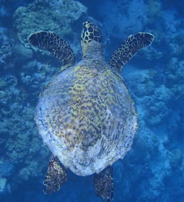 8cb8a118-78f5-4364-842f-d6dbae73bfbf