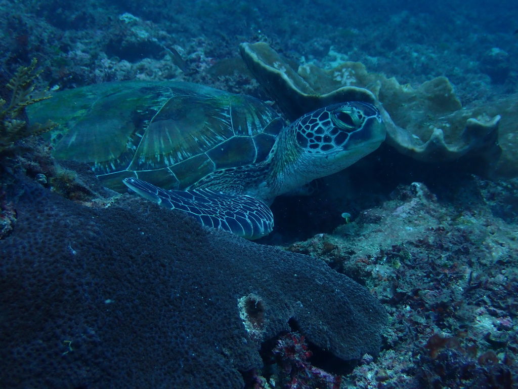 56cd0043-3c77-4f71-987d-6dd2dddc98f2