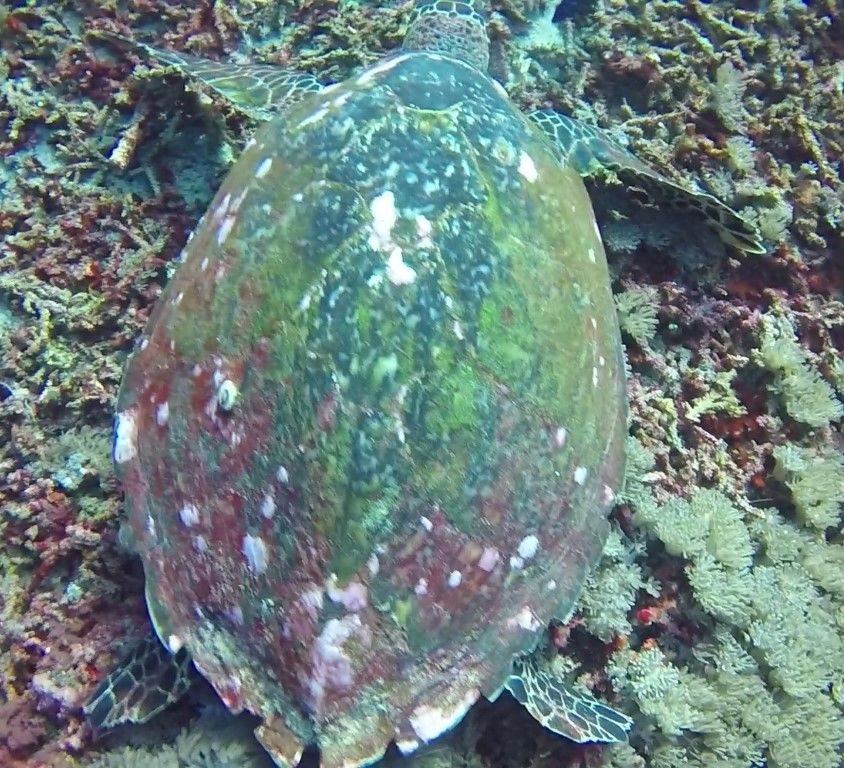 dfb1e5be-0965-49d5-bef0-6acbf725417a