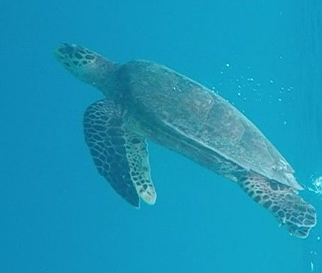 2e25001f-4b15-44b7-bdd9-992f20b87ff5