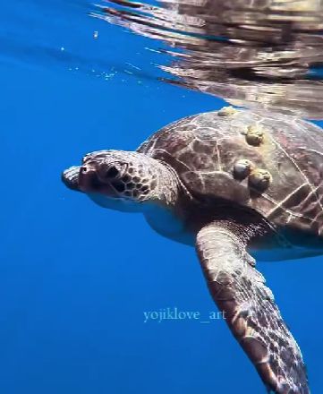 734a11ca-eb21-464b-a01e-b68130a6a5e5