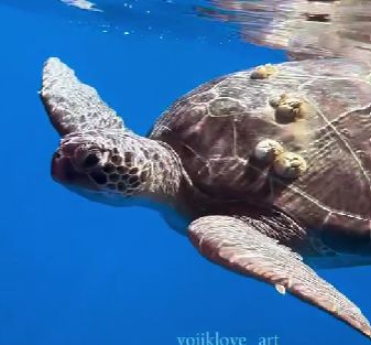 734a11ca-eb21-464b-a01e-b68130a6a5e5