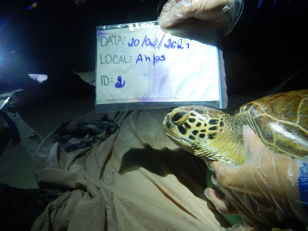 5b469e81-a947-4952-8aa7-5389a201bedf